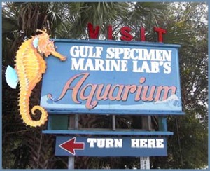 Gulf Specimen Aquarium