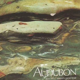 Aududon cover