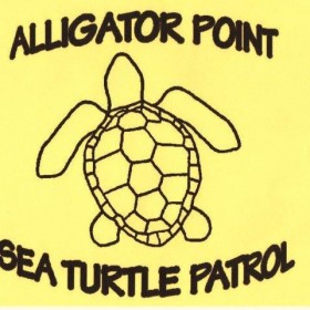 alligator point sea turtle patrol